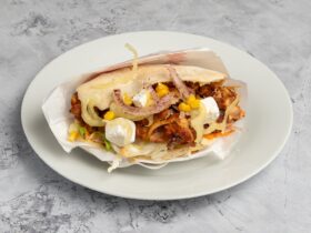 Istanbul gyros pita